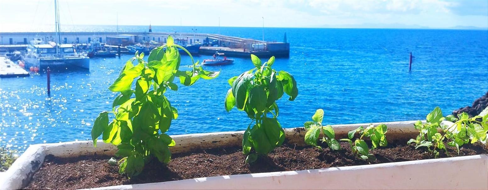 Buena Pesca 7 Apartman Puerto del Carmen  Kültér fotó